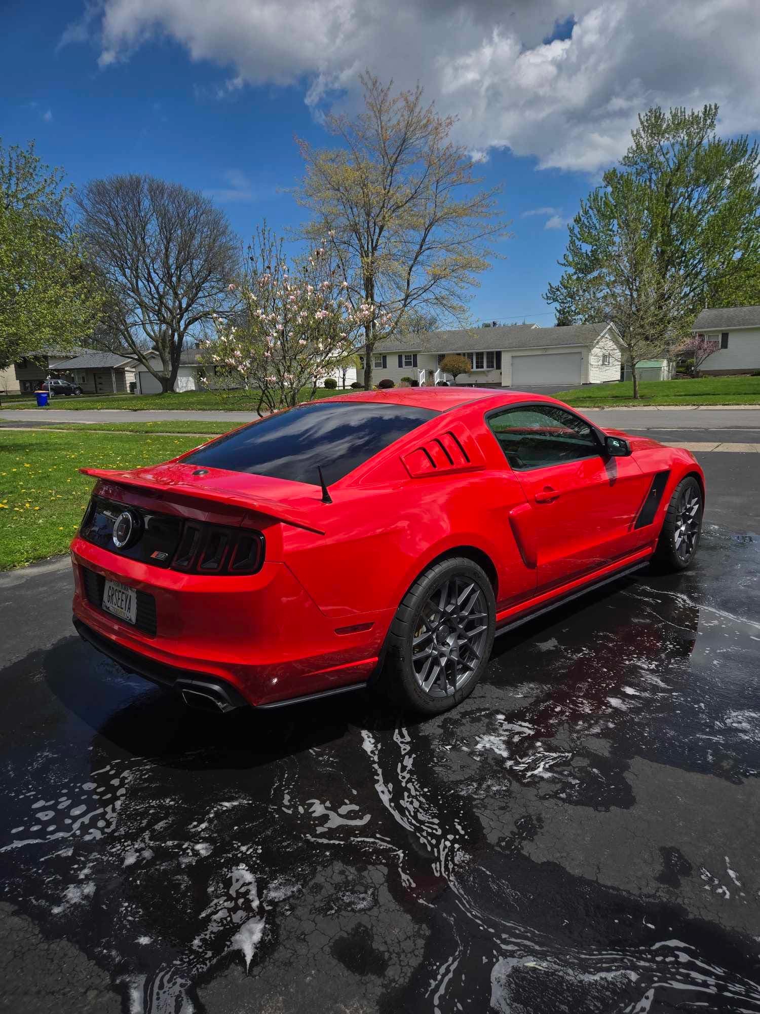 Detailed red Ford Mustang Roush, rear three-quarter view on freshly washed driveway
